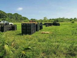 EC3DF5DA-AD57-4DBE-82A1-2543EDA7959C