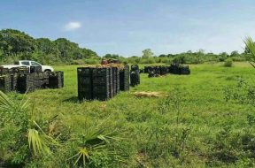 EC3DF5DA-AD57-4DBE-82A1-2543EDA7959C