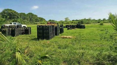 EC3DF5DA-AD57-4DBE-82A1-2543EDA7959C