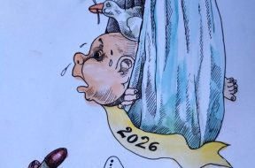 ECD259B5-1D91-405A-88AF-FA1E477DB135