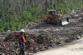 1A1C3E42-3F58-46CC-8329-A5E376D3D137