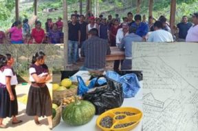 2DAC5A09-82D1-4325-863C-E0BB8371CF66