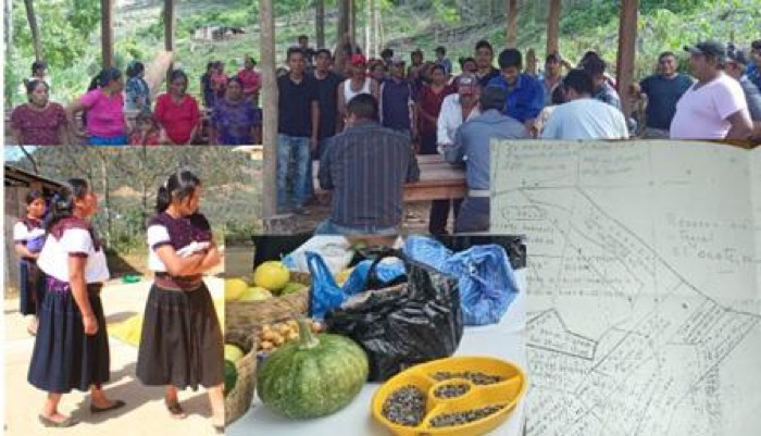 De la individualidad a la colectividad en el programa Sembrando Vida / Conciencia y Visión