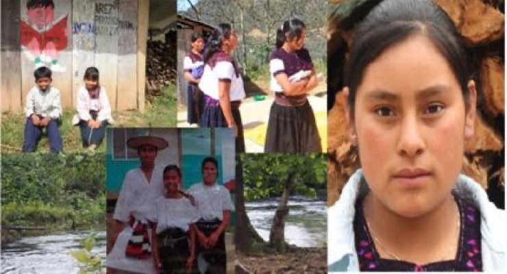 Los Altos de Chiapas en Sembrando Vida: Atención de pobreza extrema, exclusión y perdida de la soberanía alimentaria / Conciencia y visión