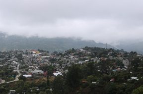 3DAD118D-6A33-49F2-B9C0-337B9276E146