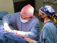 632C5527-EF00-4D2E-B264-CE27FB238824