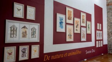 8F1E03A0-203E-44D2-9D0B-5FE998C19579