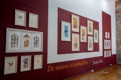 8F1E03A0-203E-44D2-9D0B-5FE998C19579