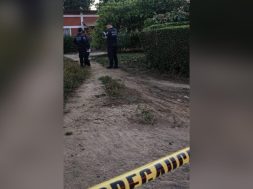 A0462CAF-2435-43AA-9DDB-CBB26FF7F5D7