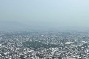 A6F42F53-AD1B-4489-BF20-B9D0DCC7E1BD