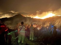 ACB523B3-6733-4CBB-8C43-4D7FC230EE3F