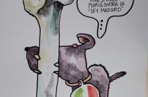 B08CC28F-BB11-41D7-B6A5-1B2945557A0C