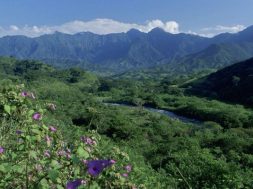 C3A9F0A4-D035-434F-AD32-E54BC15BCF2E