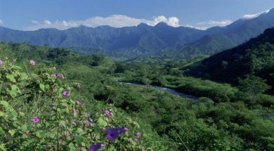 C3A9F0A4-D035-434F-AD32-E54BC15BCF2E