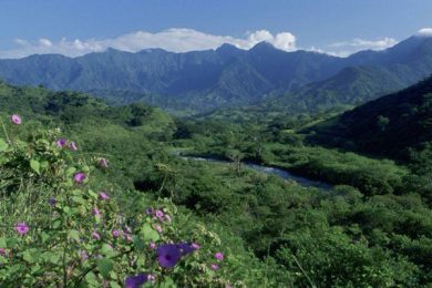 C3A9F0A4-D035-434F-AD32-E54BC15BCF2E