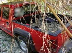 C93A7EA0-BE51-44C9-82AD-007BB723E169