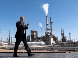 CE52CB12-DD48-4AE1-BE34-9C761555C6E5