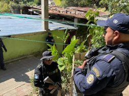 E73C5A86-5D20-4209-9086-3BA7713643B3