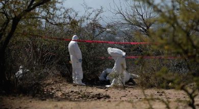 E787C61B-BAC5-4E76-A796-30BB7D8C45AD