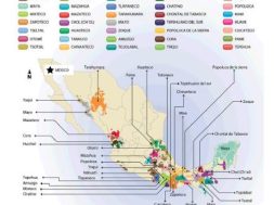 F0DB0ACC-4272-426B-AD07-AEEADB4E70E7