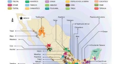 F0DB0ACC-4272-426B-AD07-AEEADB4E70E7