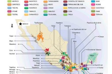 F0DB0ACC-4272-426B-AD07-AEEADB4E70E7