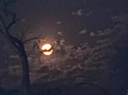 F1D59239-F39F-4EC6-82AC-44C6D2FFD6E4