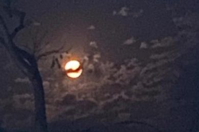 F1D59239-F39F-4EC6-82AC-44C6D2FFD6E4