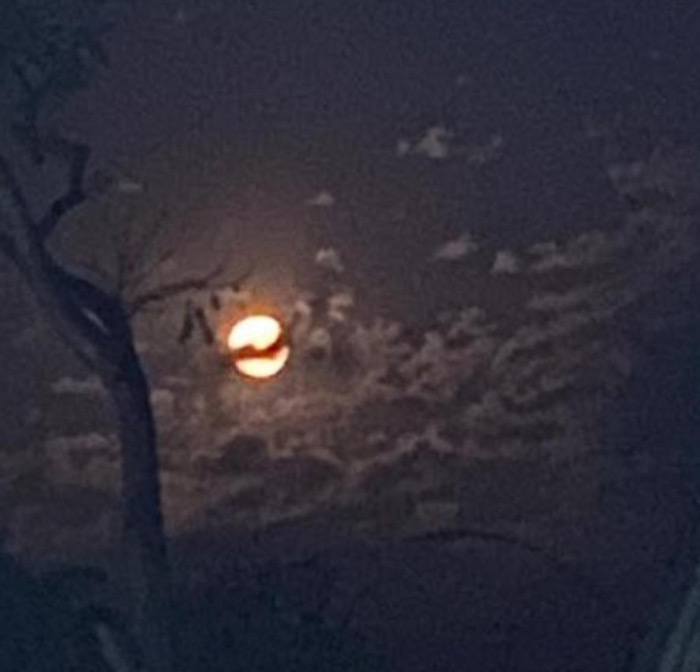 Tras el viento / Al sur con Montalvo