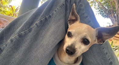 F56FA8D0-C0A9-4D80-90BD-A8A1E6306254