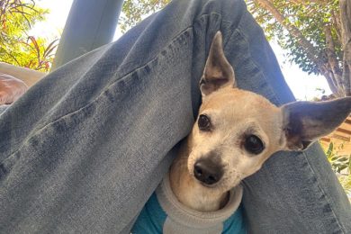 F56FA8D0-C0A9-4D80-90BD-A8A1E6306254