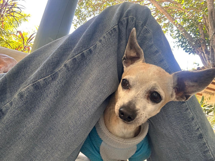 ¡Ah! Nubes, viento y sol / Al Sur con Montalvo