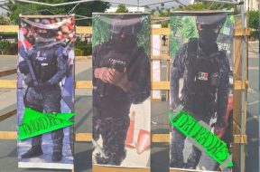 FB80C393-3EE6-4AC8-B22A-6211D8D40013