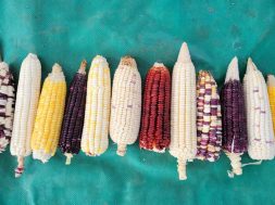 05756A80-CD7C-4E93-A49B-666DC715D141