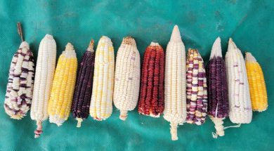 05756A80-CD7C-4E93-A49B-666DC715D141