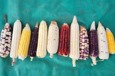 05756A80-CD7C-4E93-A49B-666DC715D141