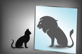 1096F983-CFCE-404A-AFED-3D83F9D4725D