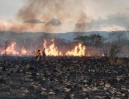 13D06C91-6CCB-4D48-9B64-858E3879DEC2