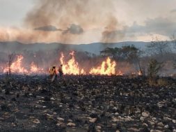 13D06C91-6CCB-4D48-9B64-858E3879DEC2