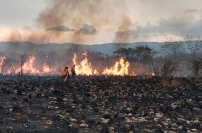 13D06C91-6CCB-4D48-9B64-858E3879DEC2