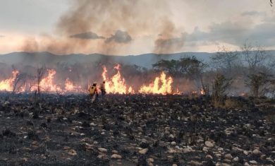 13D06C91-6CCB-4D48-9B64-858E3879DEC2