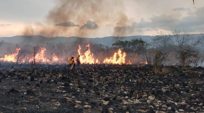 Incendio afecta área de investigación en zona arqueológica de Chiapa de Corzo