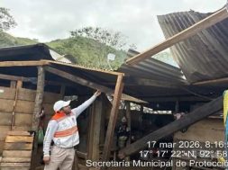 19E56C95-B994-4058-AD49-2CD3A072857E