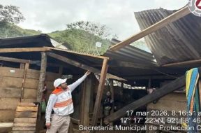 19E56C95-B994-4058-AD49-2CD3A072857E