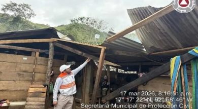 19E56C95-B994-4058-AD49-2CD3A072857E