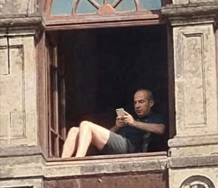 La estupidez / La Feria