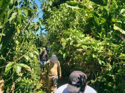 3229D3F7-6405-4706-B846-AAE2651E1AA5