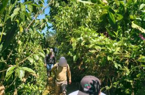 3229D3F7-6405-4706-B846-AAE2651E1AA5