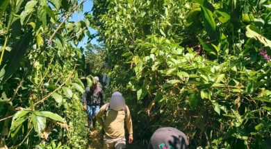 3229D3F7-6405-4706-B846-AAE2651E1AA5