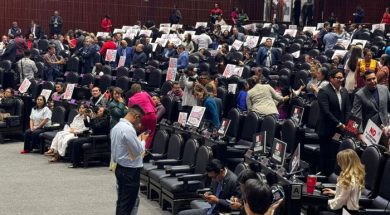 34367F1A-6693-4295-82EB-8B68F9068FA7